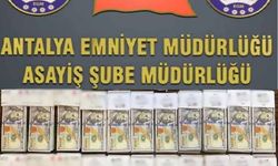 MİT görevlisi kılığına girip 10 milyonluk dolandırıcılık yapacaktı, suçüstü yakalandı
