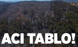 Acı tablo!