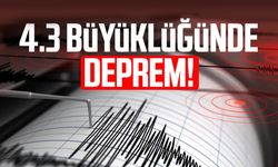 AFAD duyurdu: 4.3 büyüklüğünde deprem oldu