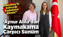 “Aynur Abla’dan Kaymakama Çarpıcı Sunum: Gökçebey’in Geleceği Kadınların Elinde!”