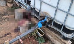Bahçe sulama kavgası kanlı bitti: Komşusunu öldürüp, eşini yaraladı