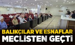 Balıkçılar ve esnaflar meclisten geçti
