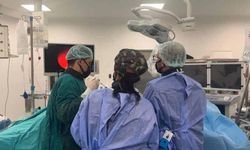 Sessiz Katil Böbrek Hastalığı: Çoğu Kişi Farkında Değil!