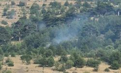 Bolu’da yıldırım kaynaklı çıkan yangınlar söndürüldü