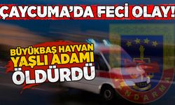 Çaycuma’da feci olay! Büyükbaş hayvan yaşlı adamı öldürdü