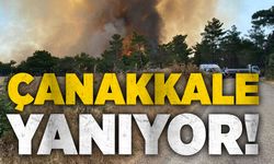 Çanakkale yanıyor!