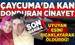 Çaycuma'da kan donduran cinayet: Uyuyan eşini bıçaklayarak öldürdü!