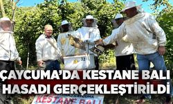 Çaycuma’da kestane balı hasadı gerçekleştirildi