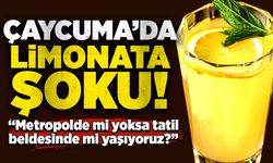 Çaycuma’da limonata şoku: “Metropolde mi yoksa tatil beldesinde mi yaşıyoruz?”