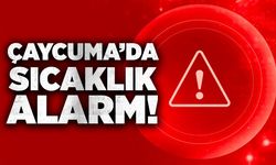 Çaycuma’da sıcaklık alarm!