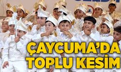 Çaycuma’da toplu kesim
