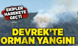 Devrek’te orman yangını: Ekipler harekete geçti