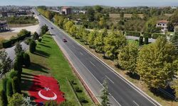 Düzce’de kişi başına 29 metrekare yeşil alan düşüyor