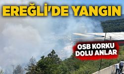 Ereğli'de yangın: OSB korku dolu anlar