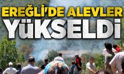 Ereğli'de alevler yükseldi: Ekipler sevk edildi..