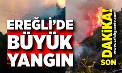 Ereğli'de büyük yangın