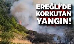 Ereğli'de korkutan yangın!