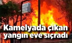 Kamelyada çıkan yangın eve sıçradı