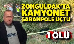 Zonguldak'ta feci kaza: Kamyonet şarampole uçtu, 1 kişi hayatını kaybetti