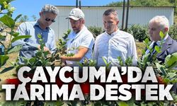 Çaycuma’da tarıma destek: Kaymakam Kaya’dan yaban mersini üretim tesisine ziyaret