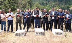Yaylatepe’de 500 keklik doğaya salındı