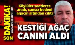 Orman Faciası: Kestiği Ağaç Yunus Çelik’in Canını Aldı