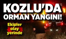 Kozlu'da orman yangını! Ekipler olay yerinde