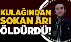 Kulağından sokan arı öldürdü!