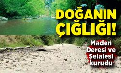 Korkutan manzara: Doğaseverlerin gözdesi kurudu