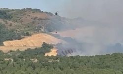 Manyas'ta orman yangını: Havadan müdahale sürüyor