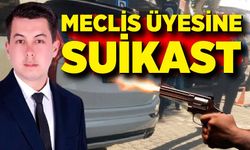 Belediye meclis üyesi silahlı saldırıda hayatını kaybetti