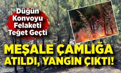 Düğün Konvoyu Felaketi Teğet Geçti: Meşale Çamlığa Atıldı, Yangın Çıktı!