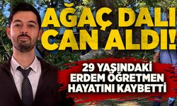 Ağaç dalı can aldı: 29 Yaşındaki Erdem öğretmen hayatını kaybetti