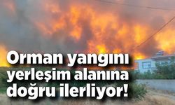 Orman yangını yerleşim alanlarını tehdit ediyor