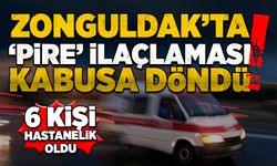 Pire ilaçlaması kabusa döndü: 6 kişi hastanelik oldu