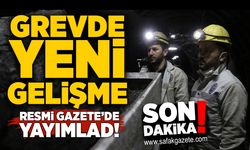 Resmi Gazete'de yayımlandı! Grev kararına 60 günlük erteleme..
