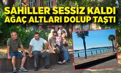 Zonguldak’ta sahiller sessiz kaldı, ağaç altları dolup taştı