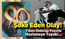 Yılan Isırdı, O da Yılanı Öldürüp Hastaneye Götürdü!