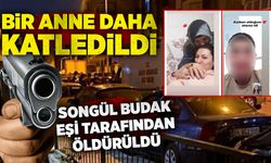 Bir anne daha katledildi: Songül Budak eşi tarafından öldürüldü