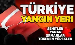 Türkiye yangın yeri: Şehitler, yanan ormanlar, tükenen yürekler