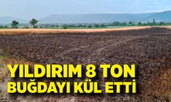 Ekili araziye düşen yıldırım 8 ton buğdayı kül etti