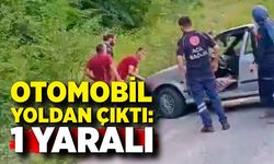 Otomobil yoldan çıktı: 1 yaralı