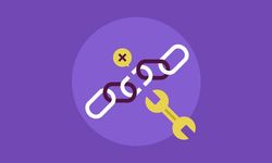Toxic Backlinkler SEO Sıralamasını Nasıl Olumsuz Etkiler?