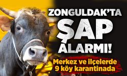 Zonguldak’ta şap alarmı! 9 köy karantinaya alındı