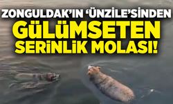 Zonguldak’ın ‘Ünzile’sinden gülümseten serinlik molası!