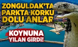 Zonguldak’ta parkta korku dolu anlar: Koynuna yılan girdi!