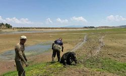 Katırlarını kurtarmak isterken kendisi de battı