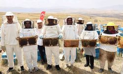 Ağrı'da kadınlar bal üretimine yöneliyor