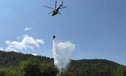 Bolu’daki orman yangını kısa sürede kontrol altına alındı