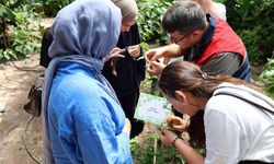 Stajyer öğrenciler Afyonkarahisar Tıbbi ve Aromatik Bitkiler Merkezi'ni gezdi